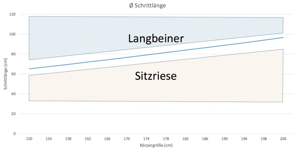 Schrittlänge und Körpergröße im Durchschnitt